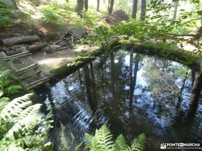 Garganta de la Cereceda - Piscinas de Piedralaves; piolet y crampones rutas y senderos puente diciem